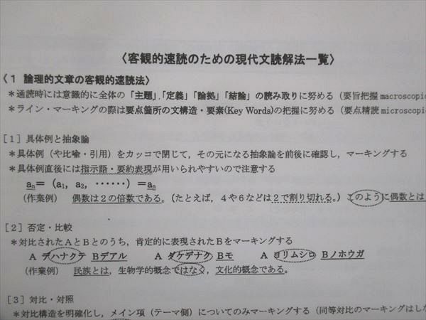 UI13-095 駿台 高3 京大現代文 テキスト 客観的速読のための現代文読解