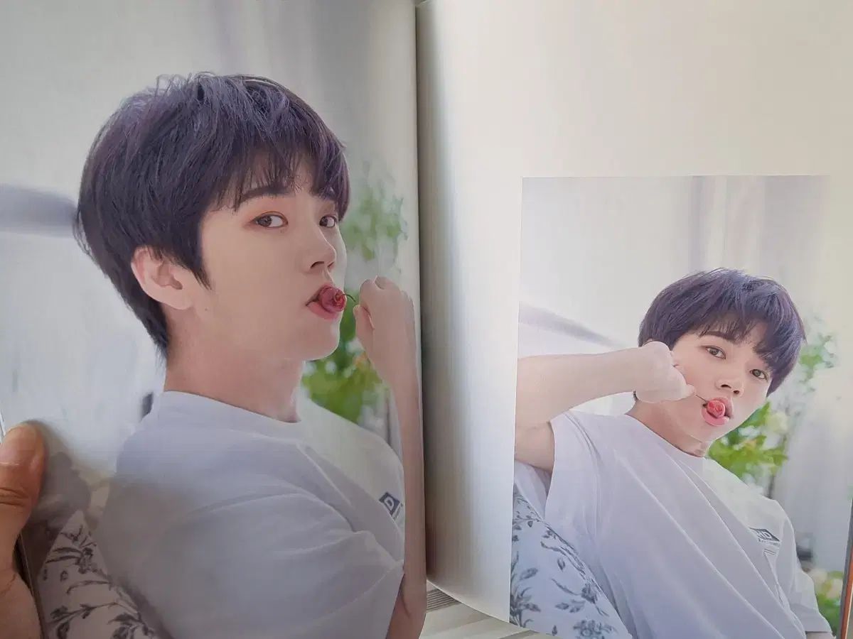 ナム・ウヒョン 2019 2nd ソロコン DVD 植樹祭2 INFINITEの通販