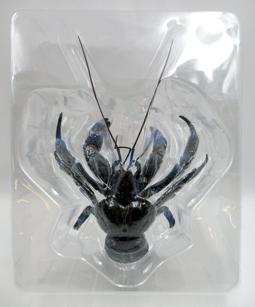 ヤシガニ