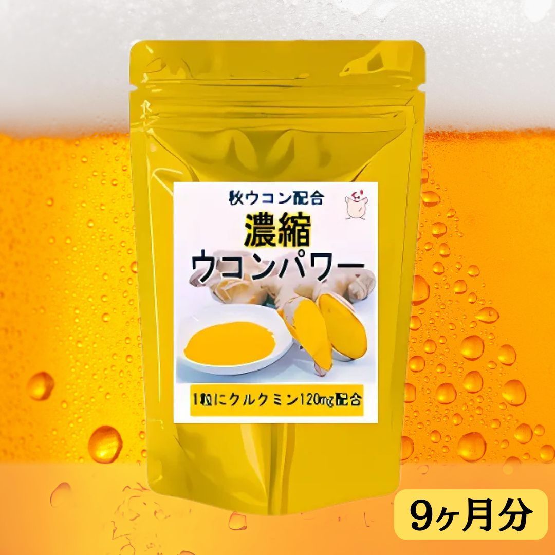 クルクミン120mg含有 濃縮ウコンパワー 270粒 約9ヶ月分 サプリメント
