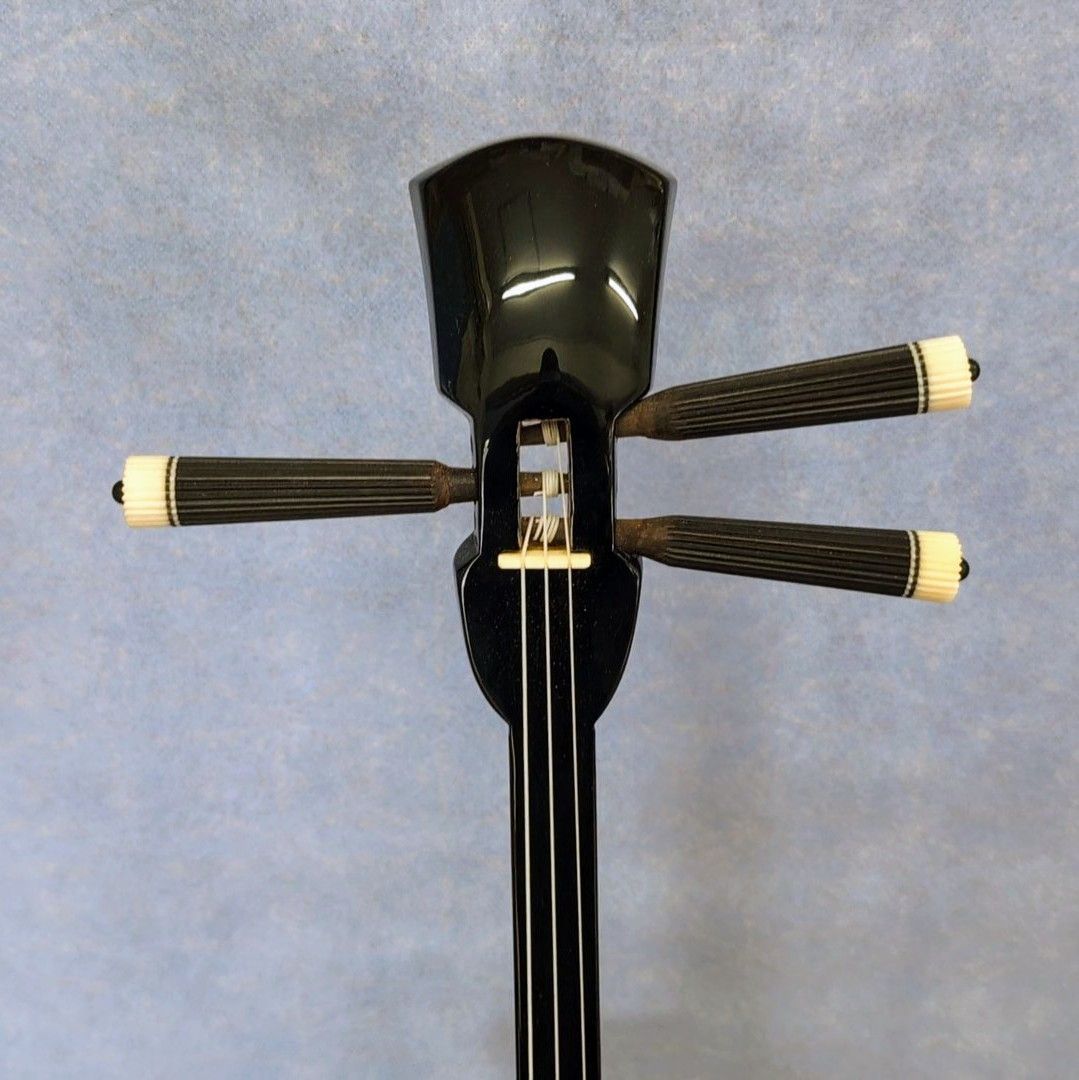 超レア Ｃ 沖縄三線 強化張り 新型ソフトケース お見逃しなく！