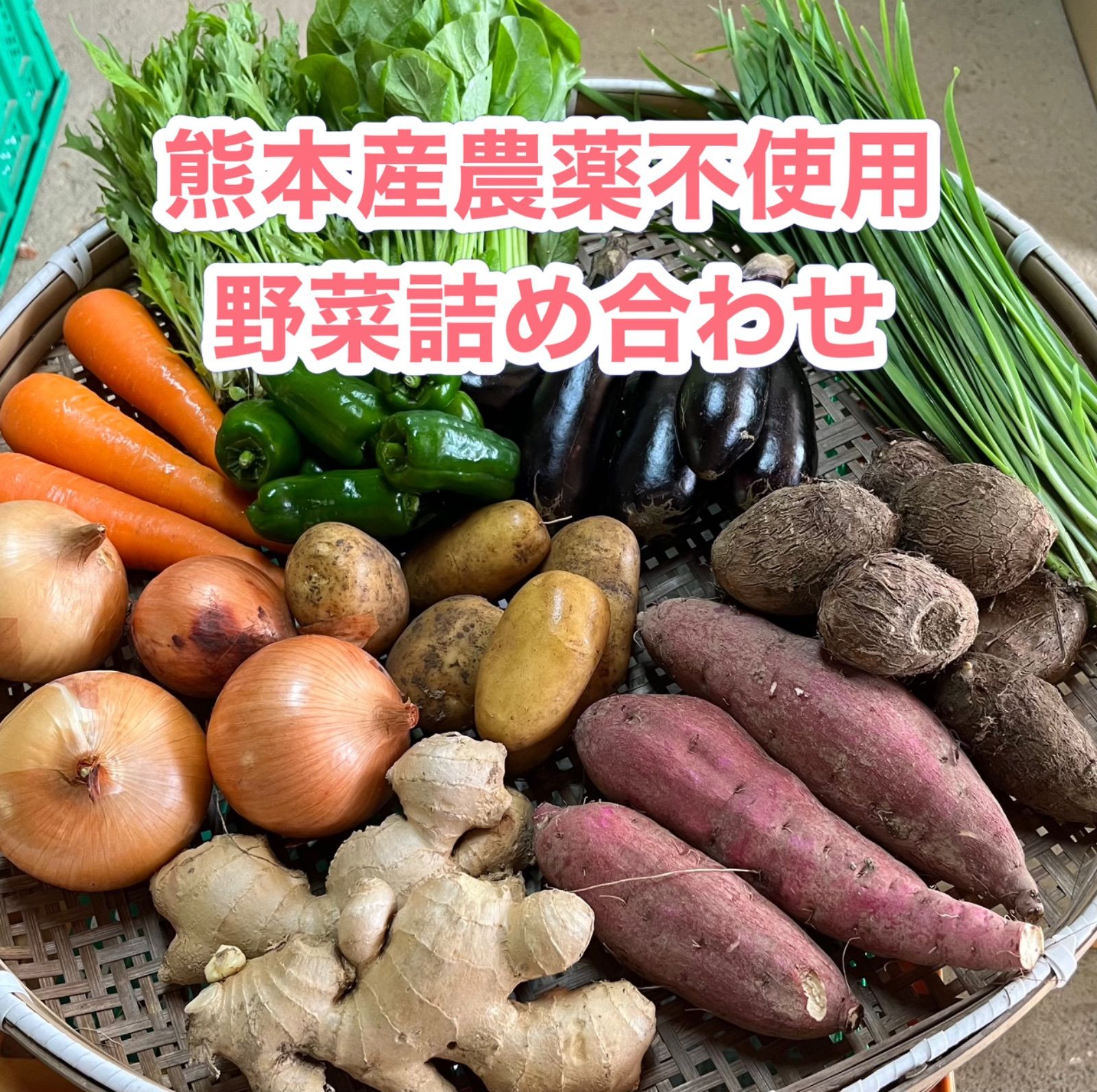 熊本産農薬不使用野菜詰め合わせ◎80サイズ