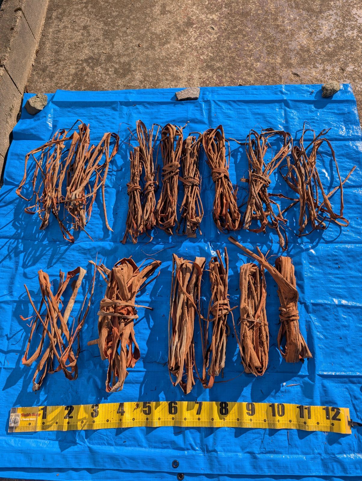 天然山葡萄の蔓3