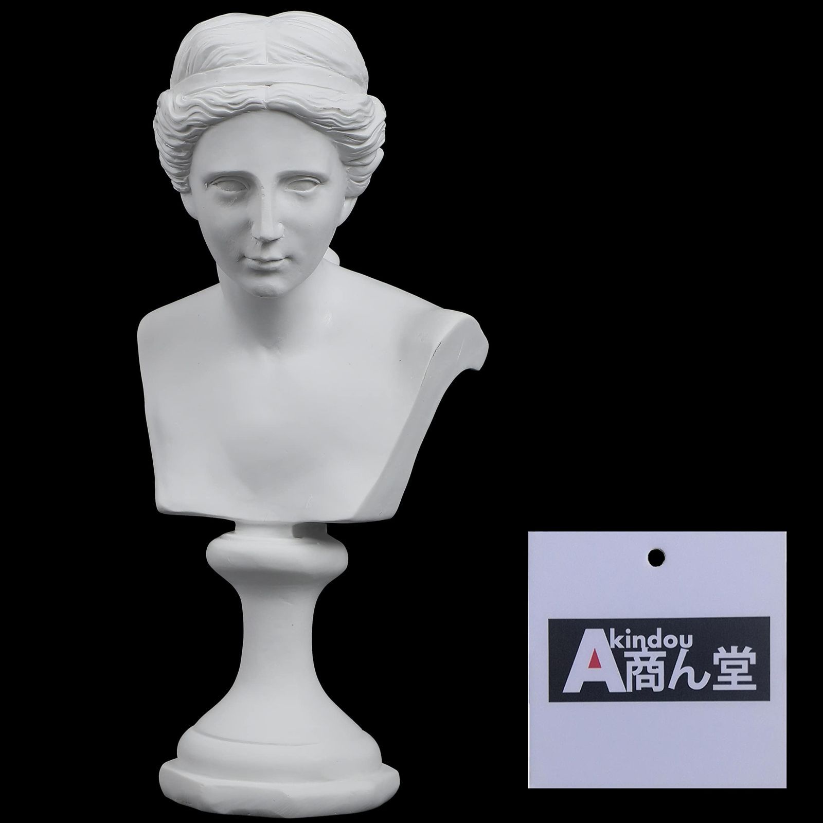 石膏像 メディチ 胸像 ダビデ像 古代ギリシャ ミケランジェロ デッサン 石膏像 メディチ 胸像 ダビデ像 古代ギリシャ ミケランジェロ