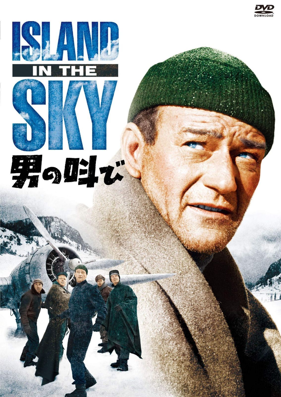男の叫び DVD