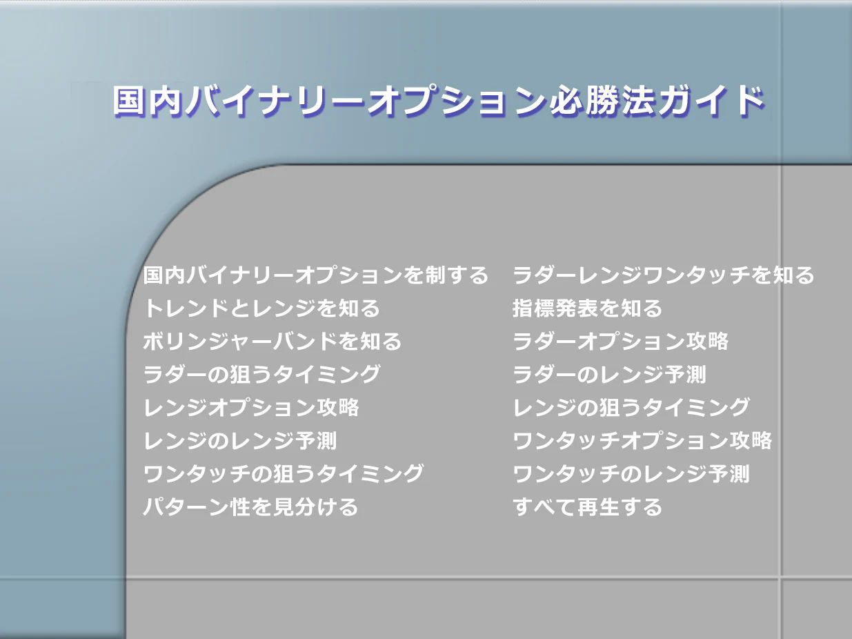 国内バイナリーオプション必勝法ガイド・外為オプションを含む国内業者を徹底攻略! - メルカリ