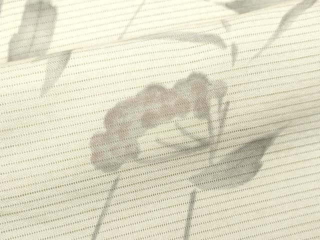 平和屋着物＊夏物 小紋 絽 手描き 枝花文 洗える着物 CAAX6256ze