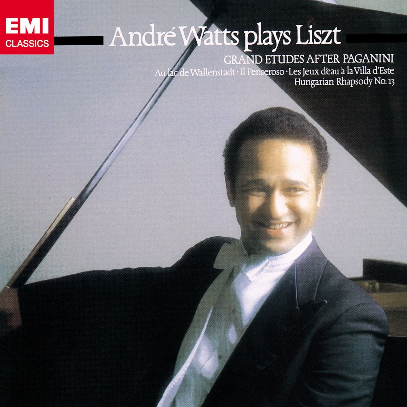 雲龍鐔 埋忠派？ 真鍮地変り形雲龍図鐔 高肉彫 両櫃孔 埋忠就方 金工鐔