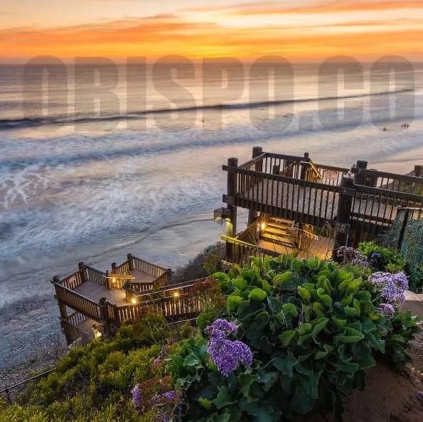 アートフォト エンシニータス D-street “D” 001