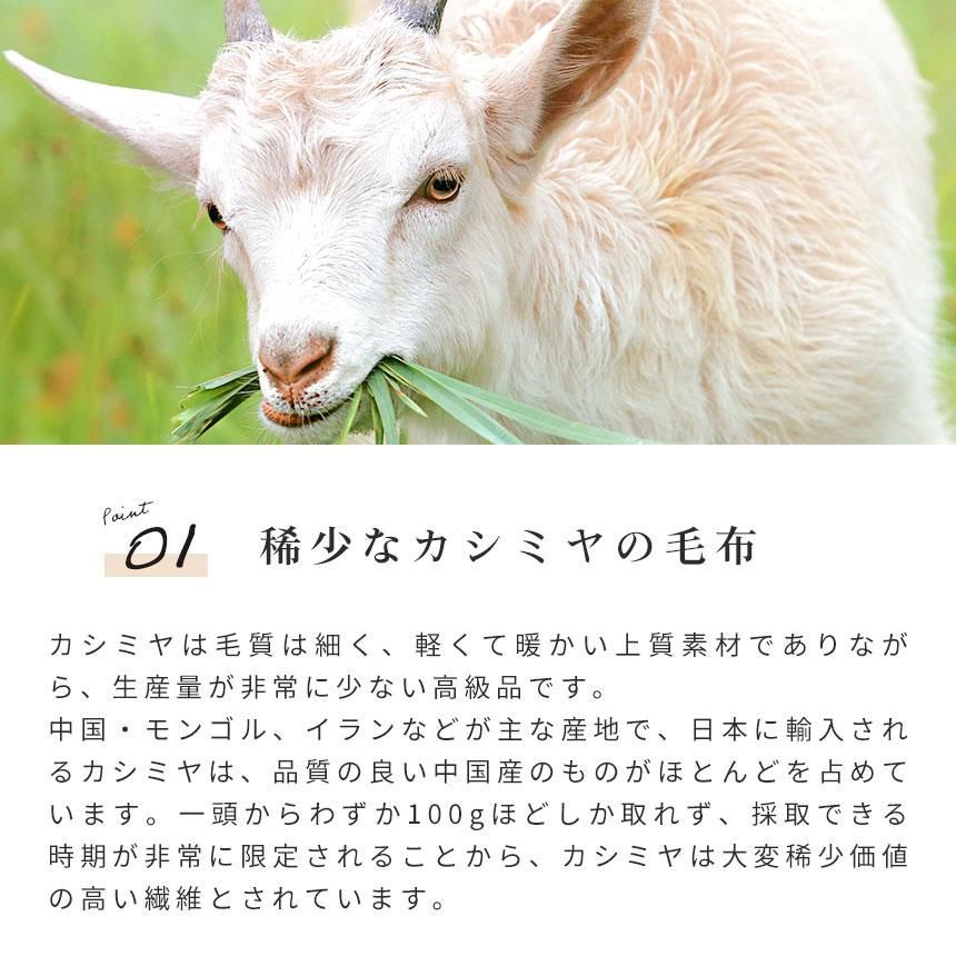 インナーケット 6SA-2311BR