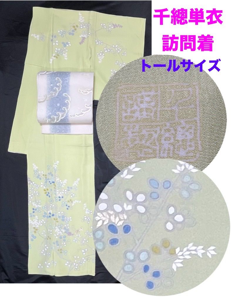 豪華絢爛綺麗美品トールサイズ身丈165cm裄丈67cm大島紬正絹袷広襟（未