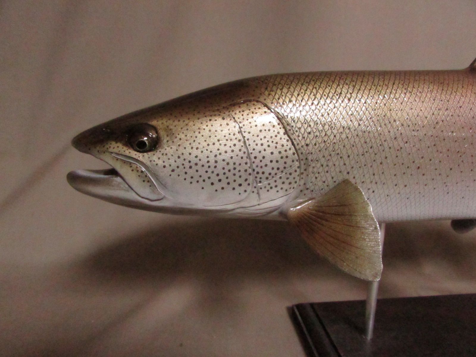 ハンドメイド　46cmイトウ 魚模型　フィギュア　レプリカ　怪魚　釣り メルカリ