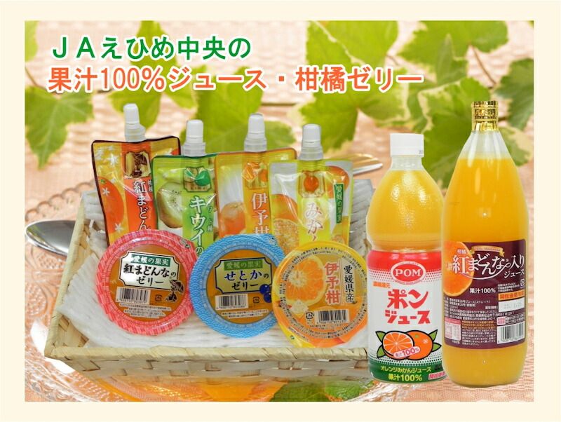 愛媛県の農協 JAえひめ中央 愛媛の果実 紅まどんなカップゼリー 紅ま