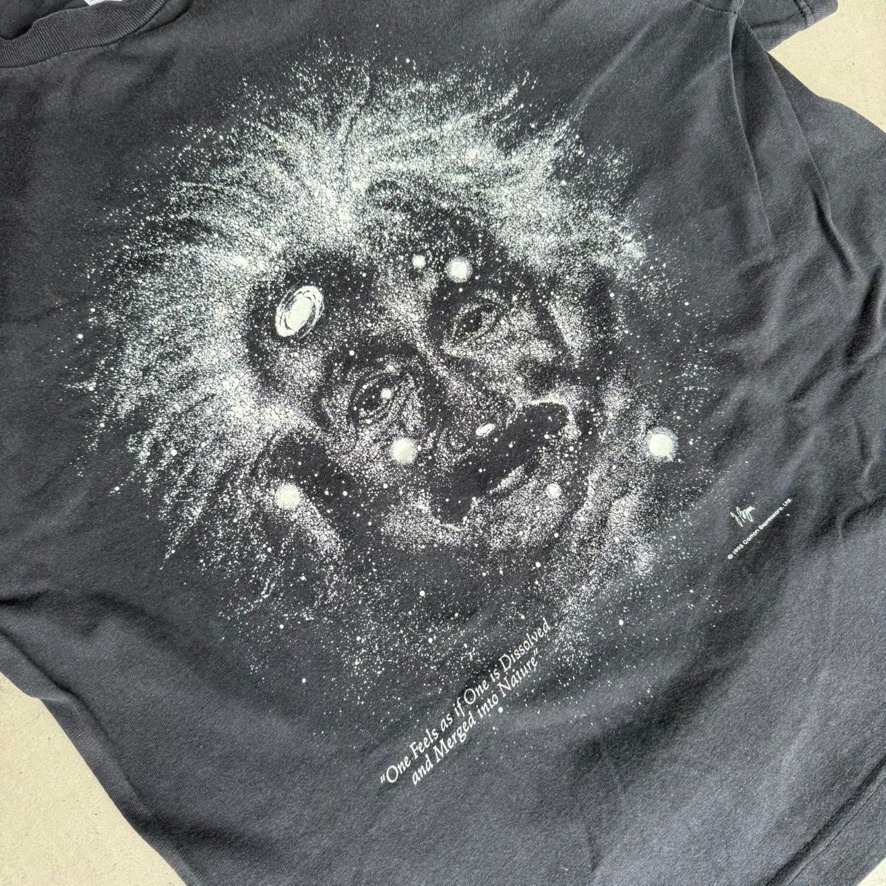 90s アインシュタイン ヴィンテージ Albert Einstein 偉人 T シャツ L 