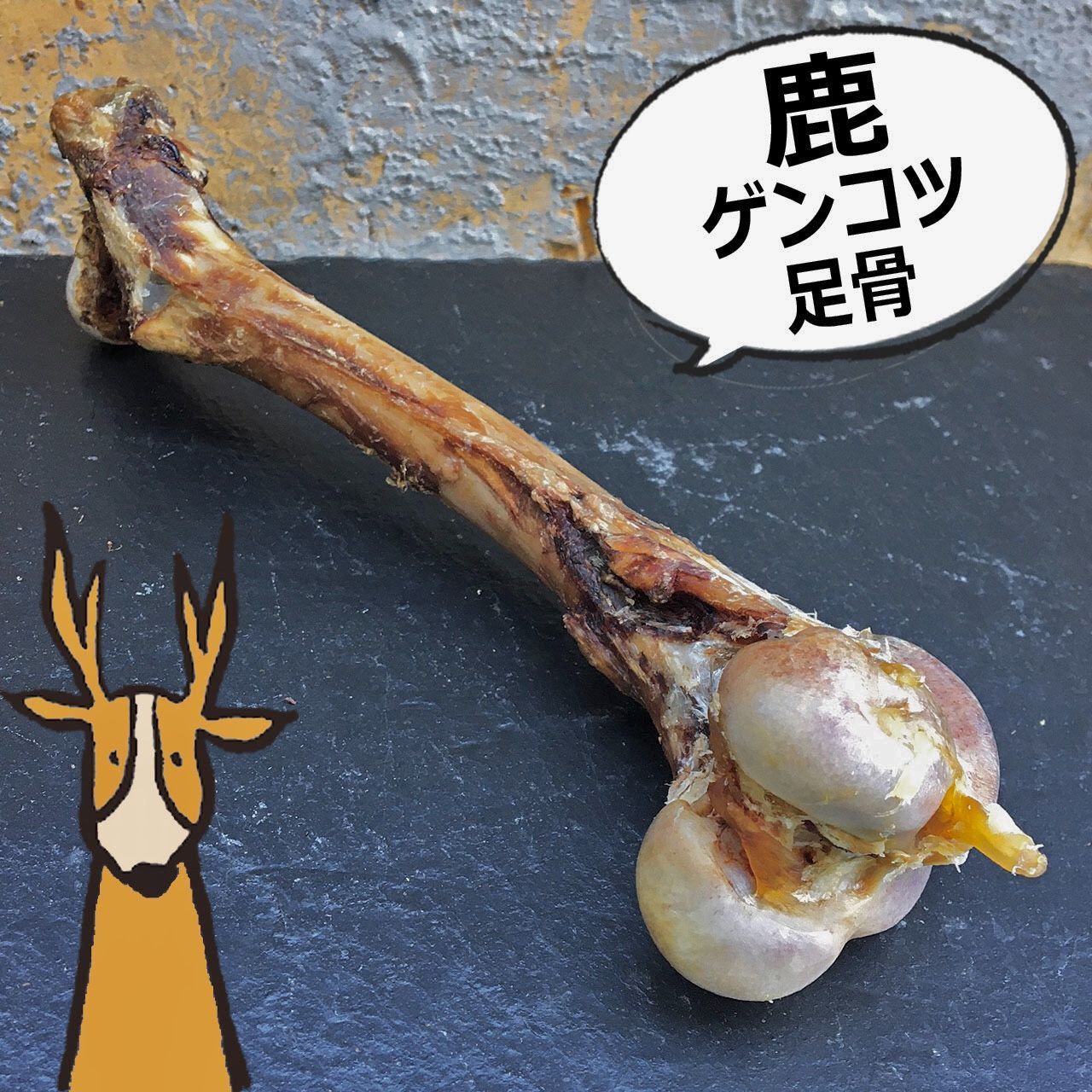 ひ*様 激レア美品 鹿の骨 ひ*様 激レア美品 鹿の骨