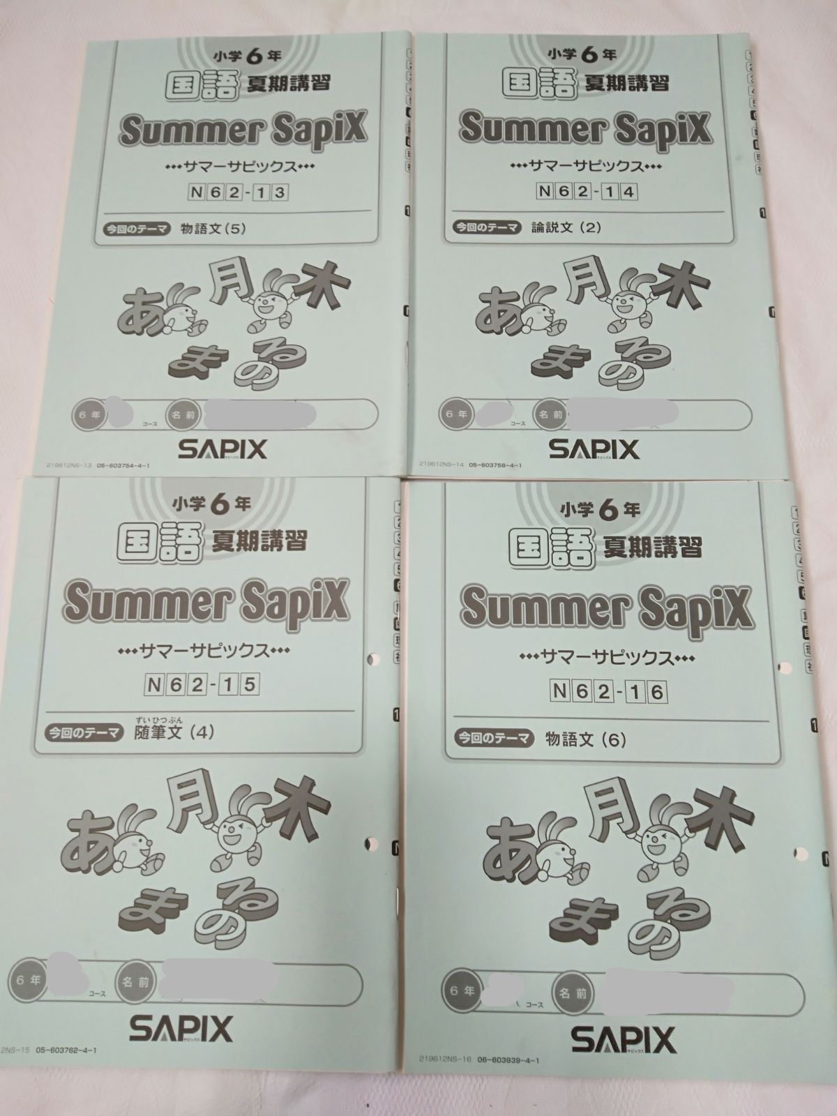 中学受験　国語サマーサピックス　小学6年　1〜１８ 解答付！夏期講習教材　参考書 💛中学受験 国語サマーサピックス 小学6年 1〜18 解答付！夏期