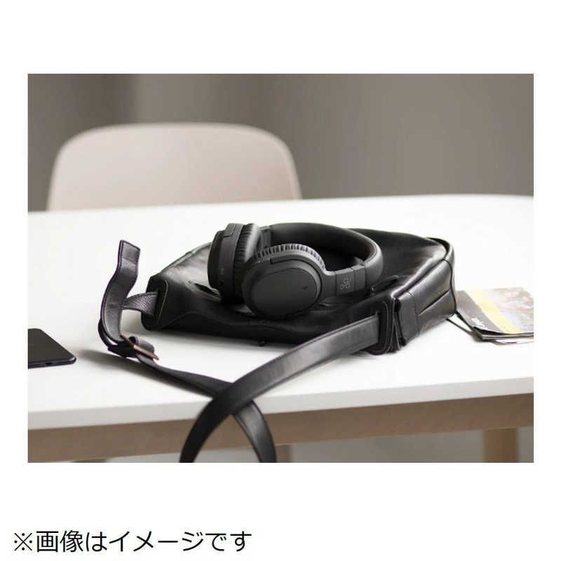 マイク対応 ブラック