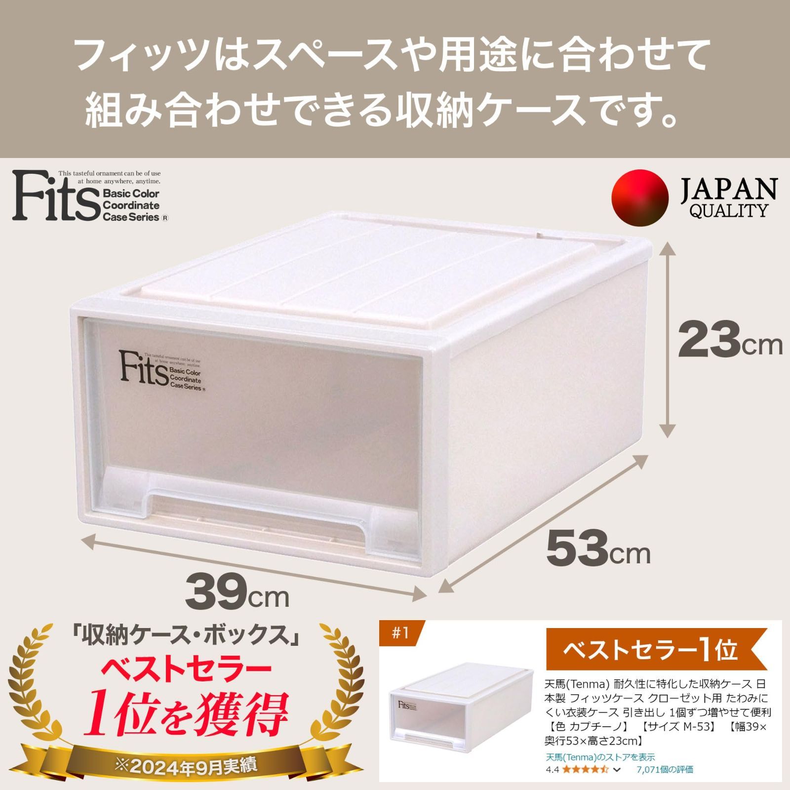 天馬 収納ボックス フィッツケース クローゼット 幅39×奥行53×高