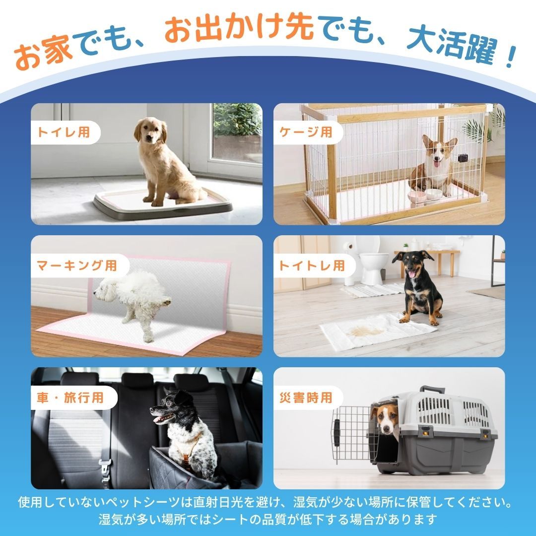 大型犬 高齢犬