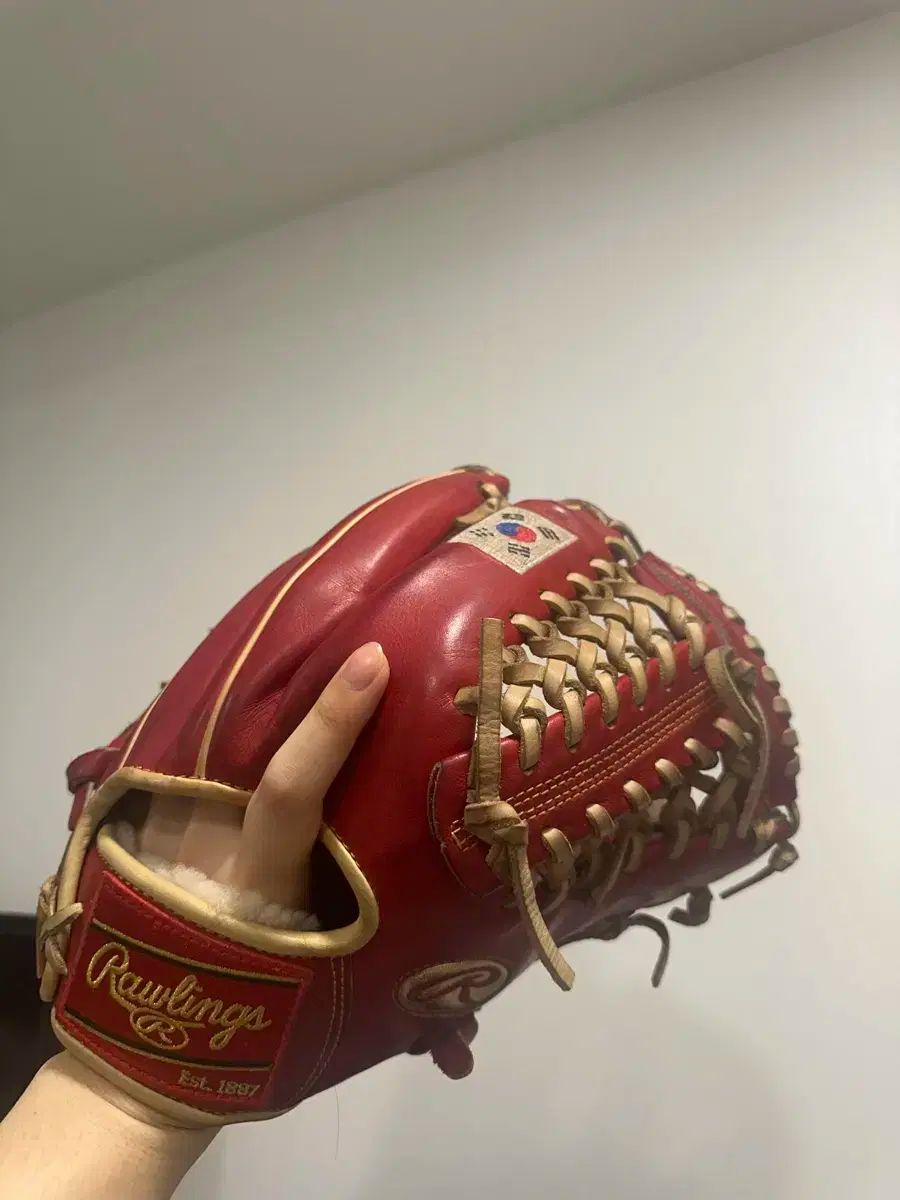 Rawlings ローリングス プロ 優先 内野 グローブ