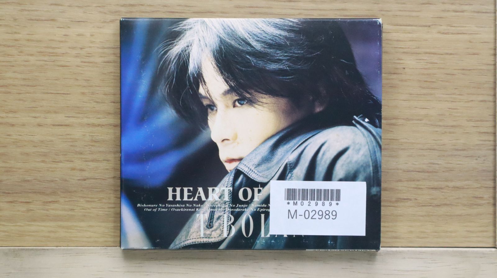 T-BOLAN LIVE HEAVEN 94-95 ジャケット T-BOLAN 【 BOY 】 5th TOUR “LIVE HEAVEN '93-'94 -LOOZ