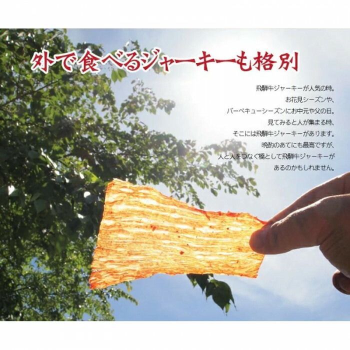 飛騨牛ジャーキー(箱入) 25g×20個 山一商事 - メルカリ