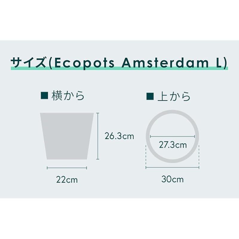Amsterdam エコポッツ