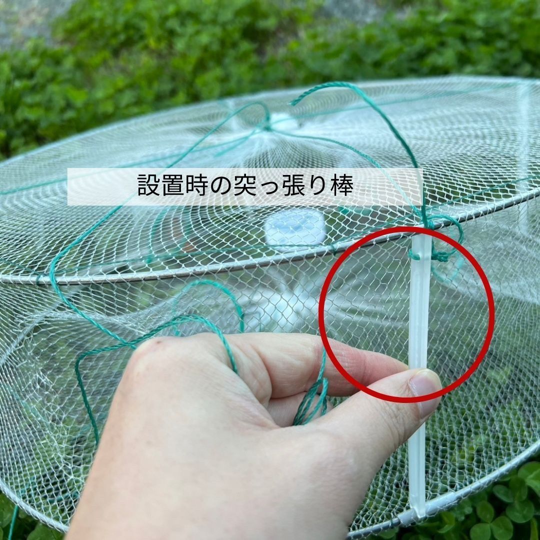 お気に入 投網 投げ網 漁 ネット 鮎 川 海 マス 小魚 - linsar.com