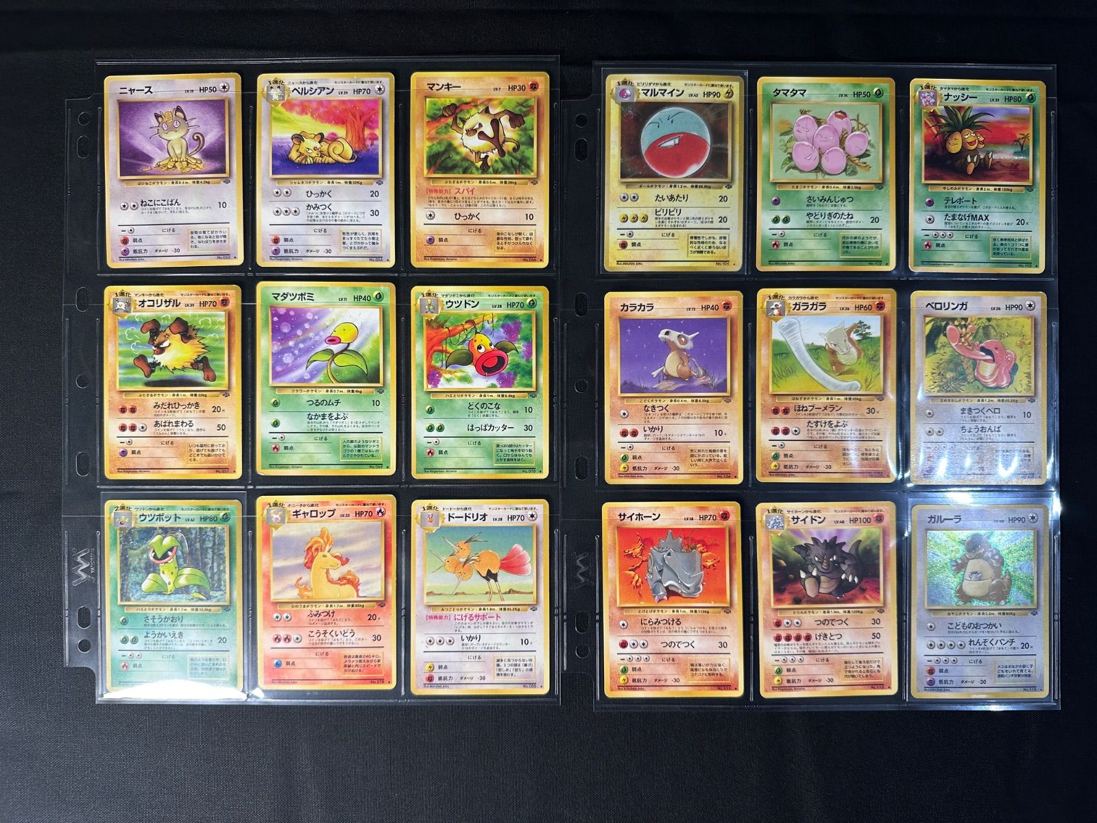 旧裏 第2弾 拡張パック「ポケモンジャングル」 全48枚 コンプリート