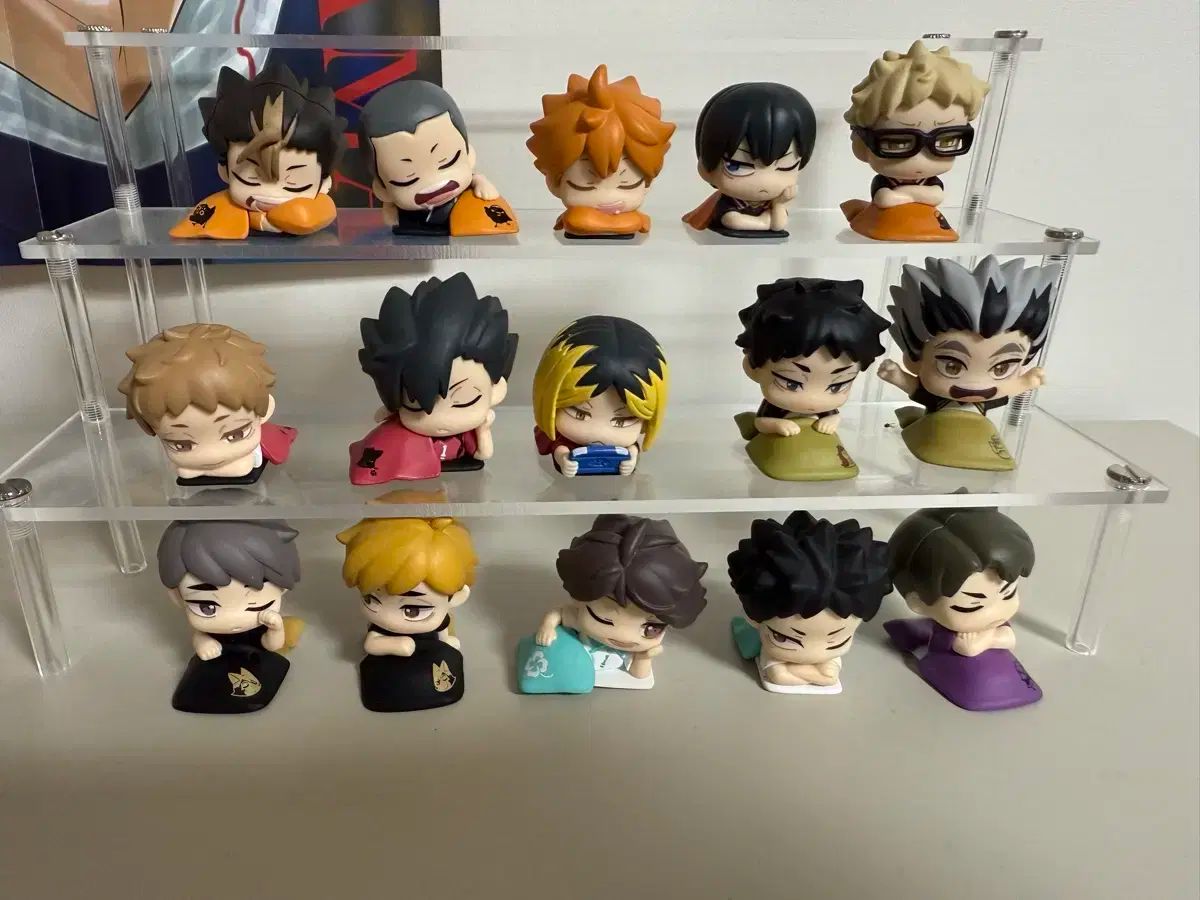 ハイキュー！！ おねむたん 15 種