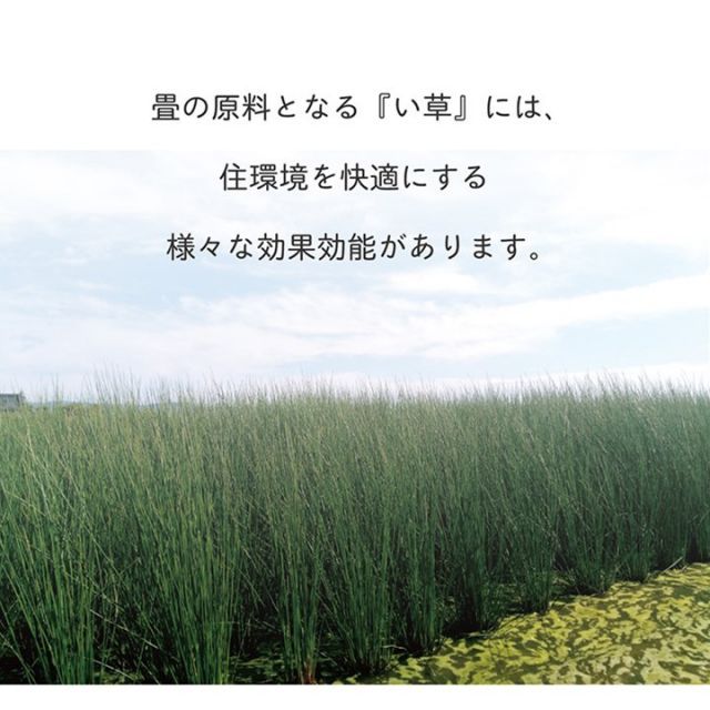 シンプル ナチュラル