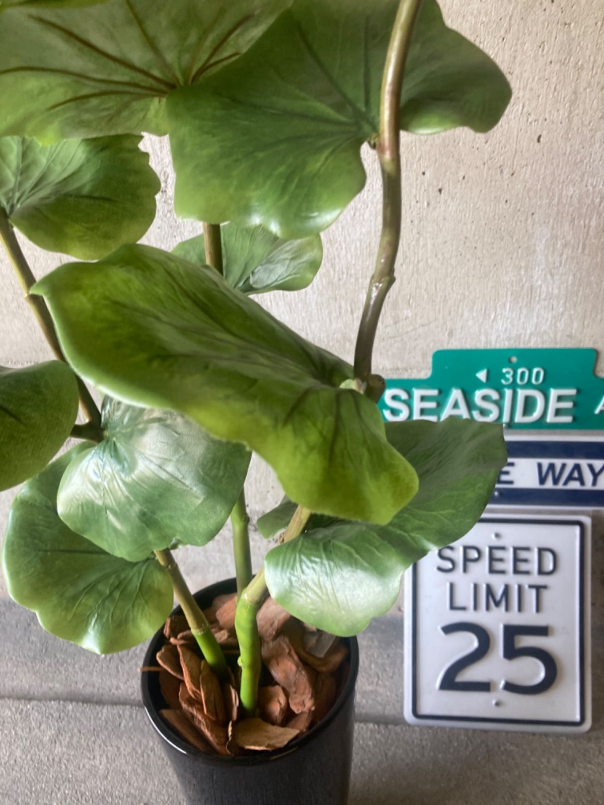 光触媒 人工観葉植物 ウォールグリーン フェイク アレンジ シーグレープ120ajg STEELWINDOWSANDDOORS_COM