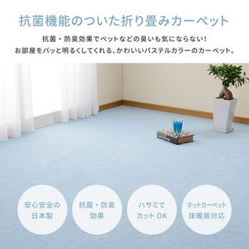 江戸間4.5帖 タフト