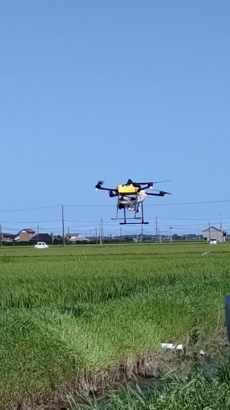 千葉県産コシヒカリ 精米10kg