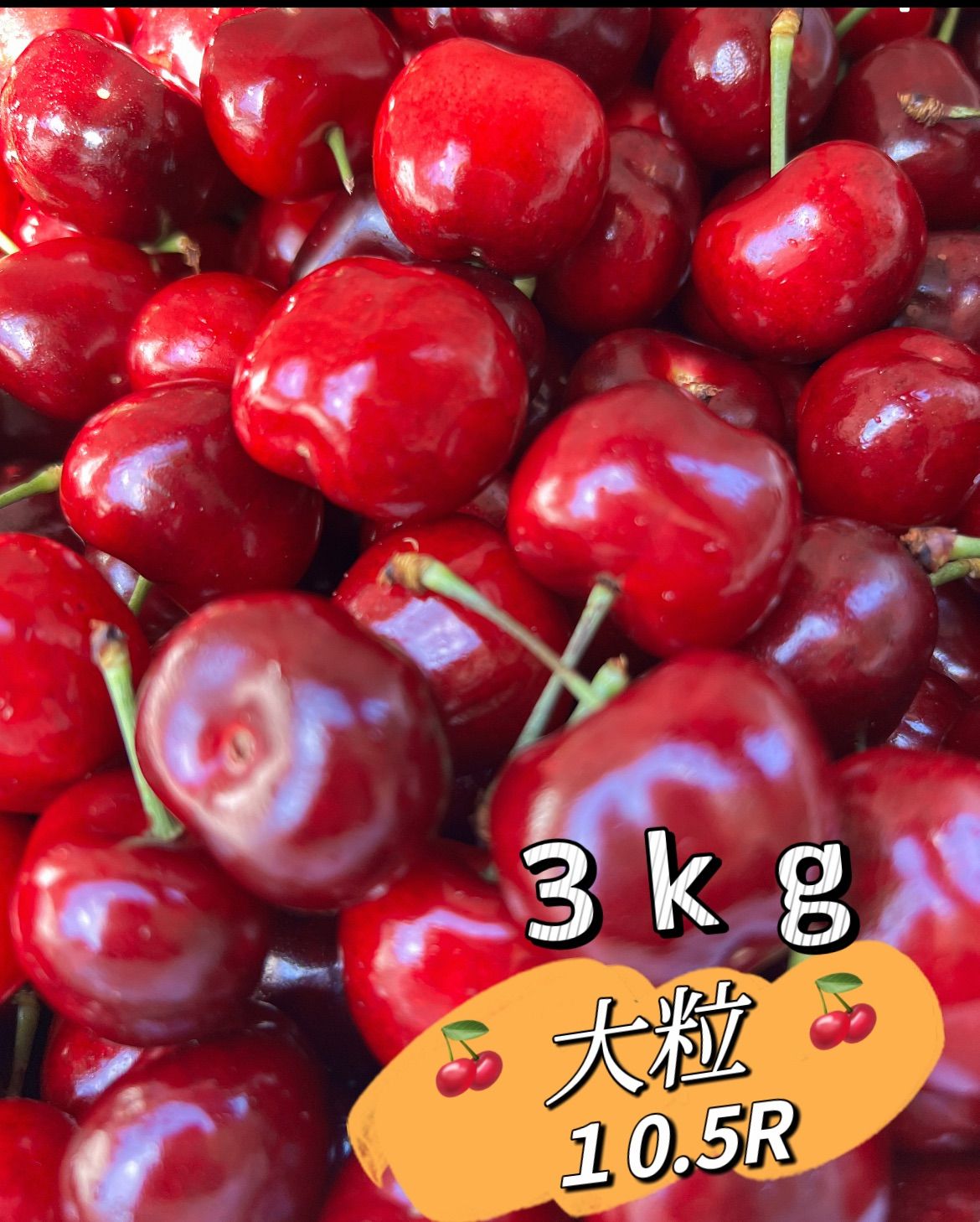 クール便❣️手渡し❣️激安❣️10.5R大粒アメリカンチェリー3kg 大容量父の日中元訳あり家庭用100円引きクーポン配布中❣️