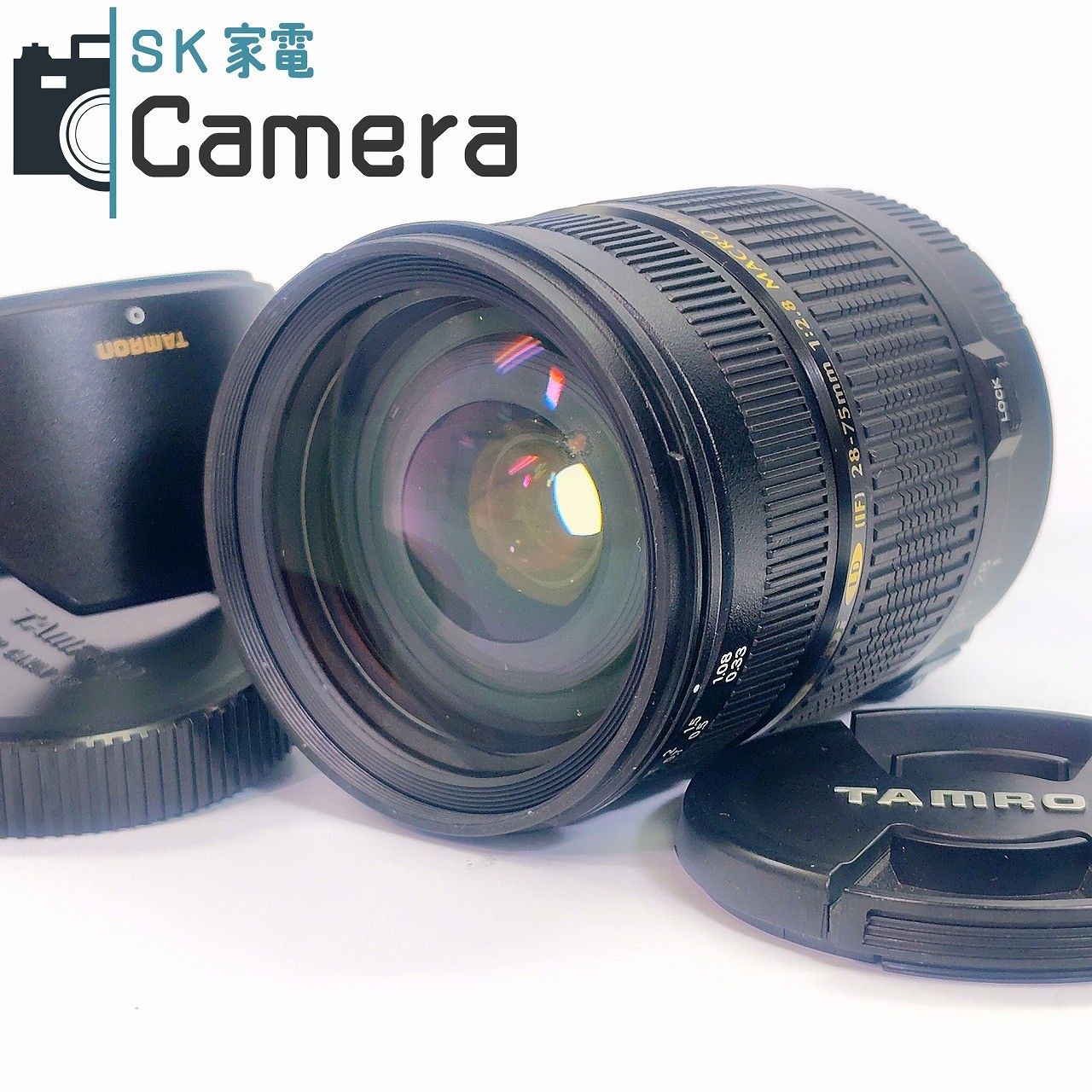 おまとめシトロン全3点花芽付き シトロンシュシュ スモークツリー 苗 苗木 雌株 おまとめシトロン全3点花芽付き シトロンシュシュ スモークツリー 苗