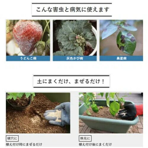 住友化学園芸 ベニカＸガード粒剤