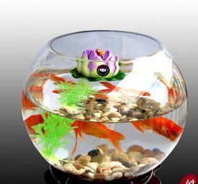 金魚鉢 ガラス製 花瓶 アクアリウム テラリウム 22cm 新品訳