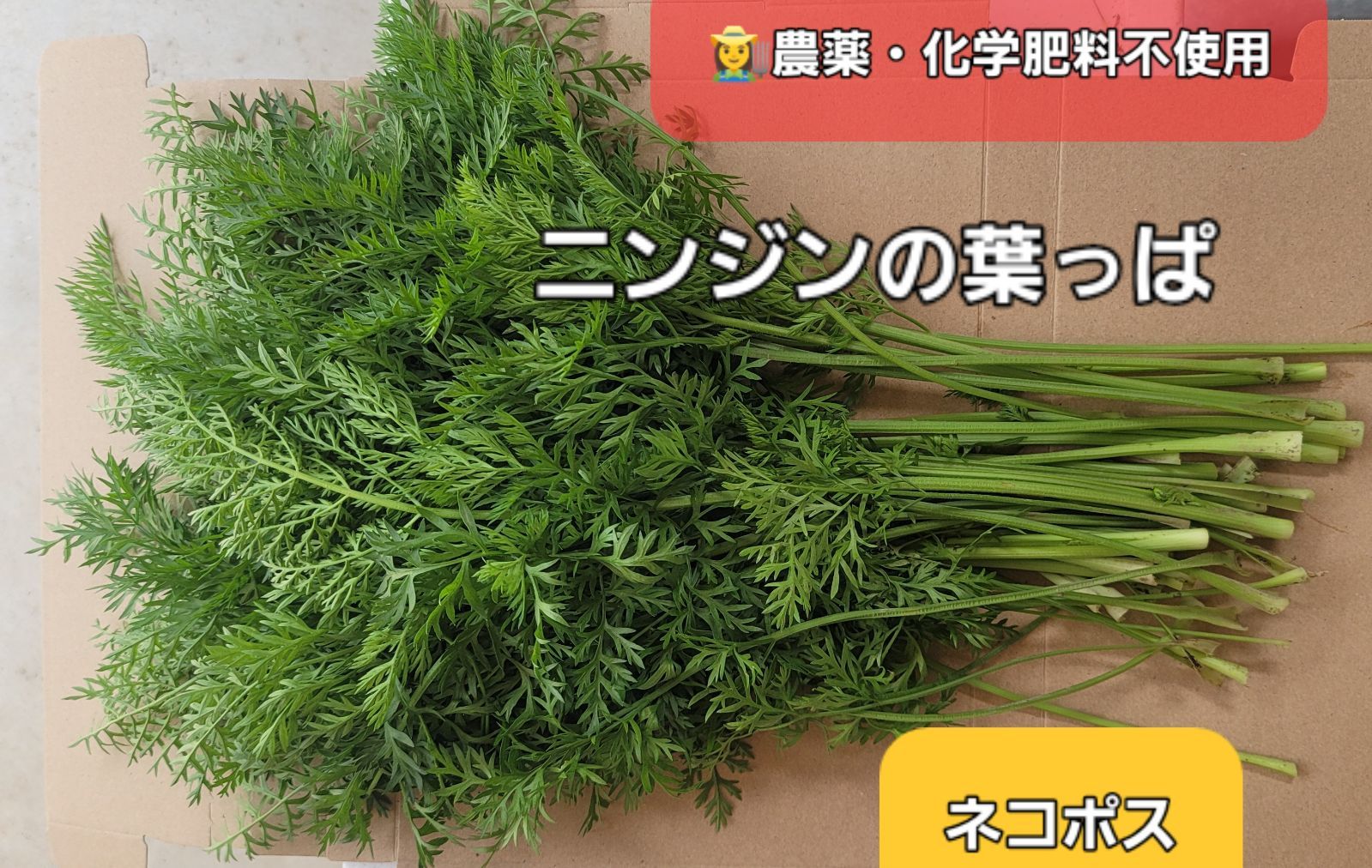 農薬不使用！人参葉 人参の葉っぱ 小動物おやつ 野菜詰め合わせ もったいなく