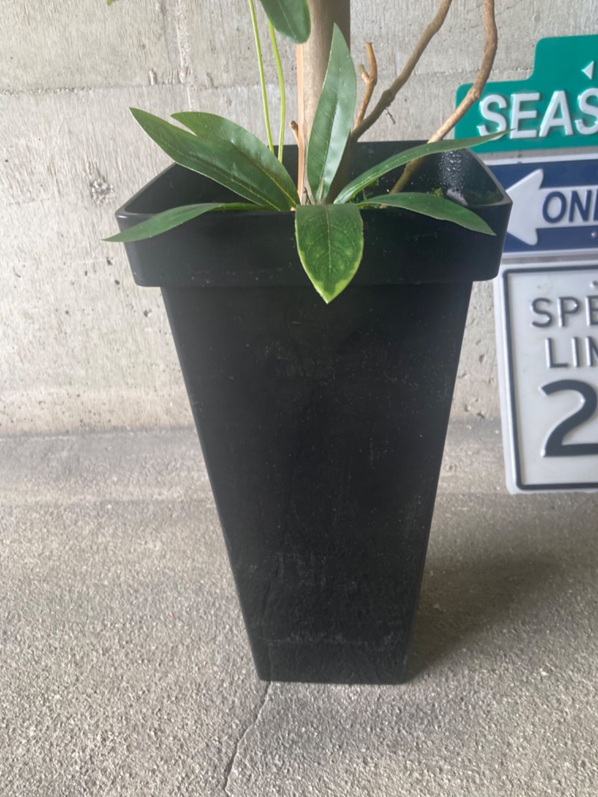 光触媒 人工観葉植物