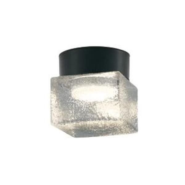 【すいかさん専用】㉓PVPアジサイ「バラディア」10.5cm鉢 正規ステッカー すいかさん専用】㉓PVPアジサイ「バラディア」10.5cm鉢 正規ステッカー