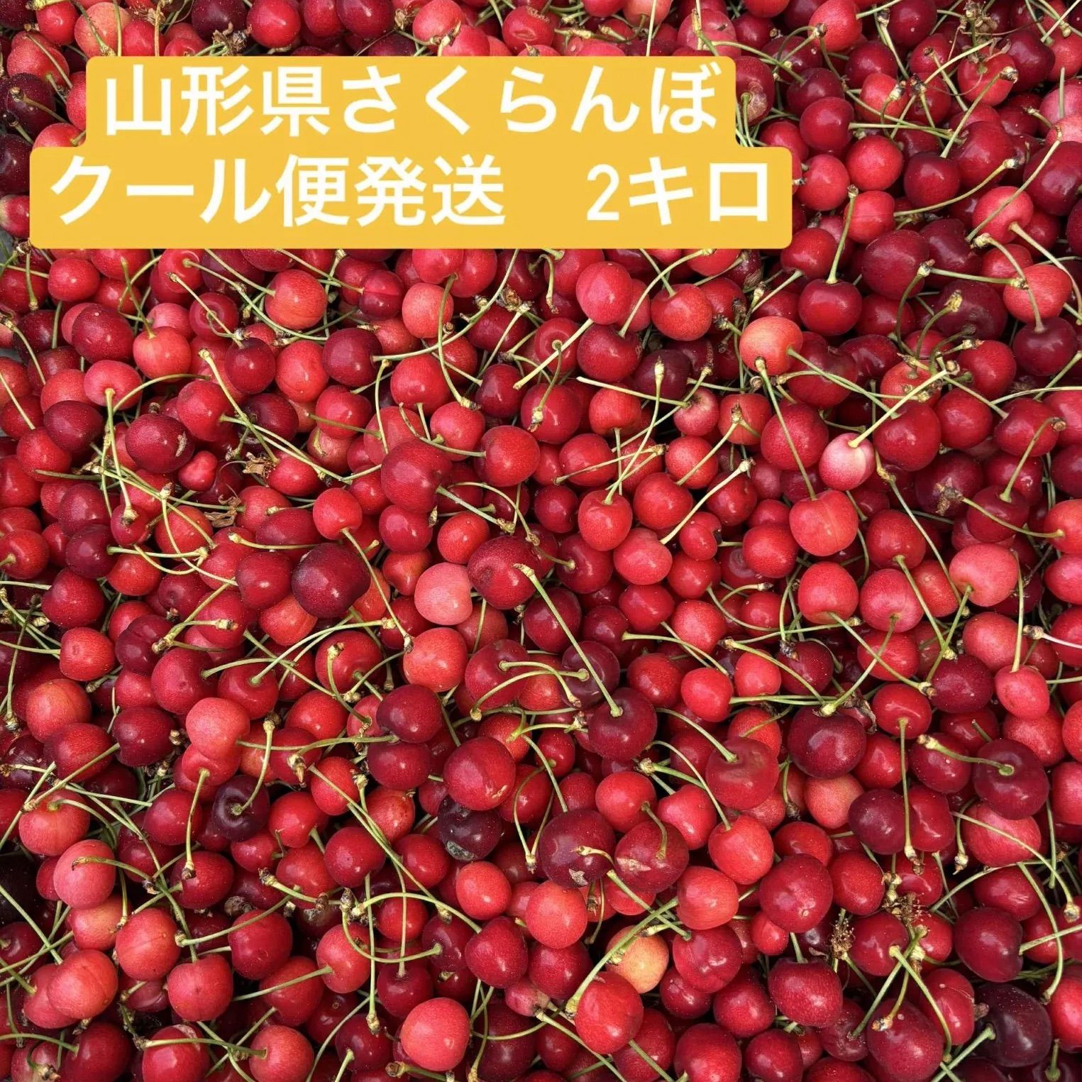 訳あり◾️さくらんぼ◾️2キロ 山形県産さくらんぼ 2kg 訳あり品 - メルカリ