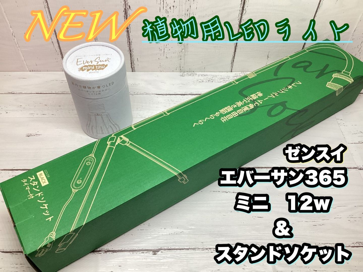 ゼンスイ PLAAREA スタンドソケット + エバーサン365ミニ ベスト 12w