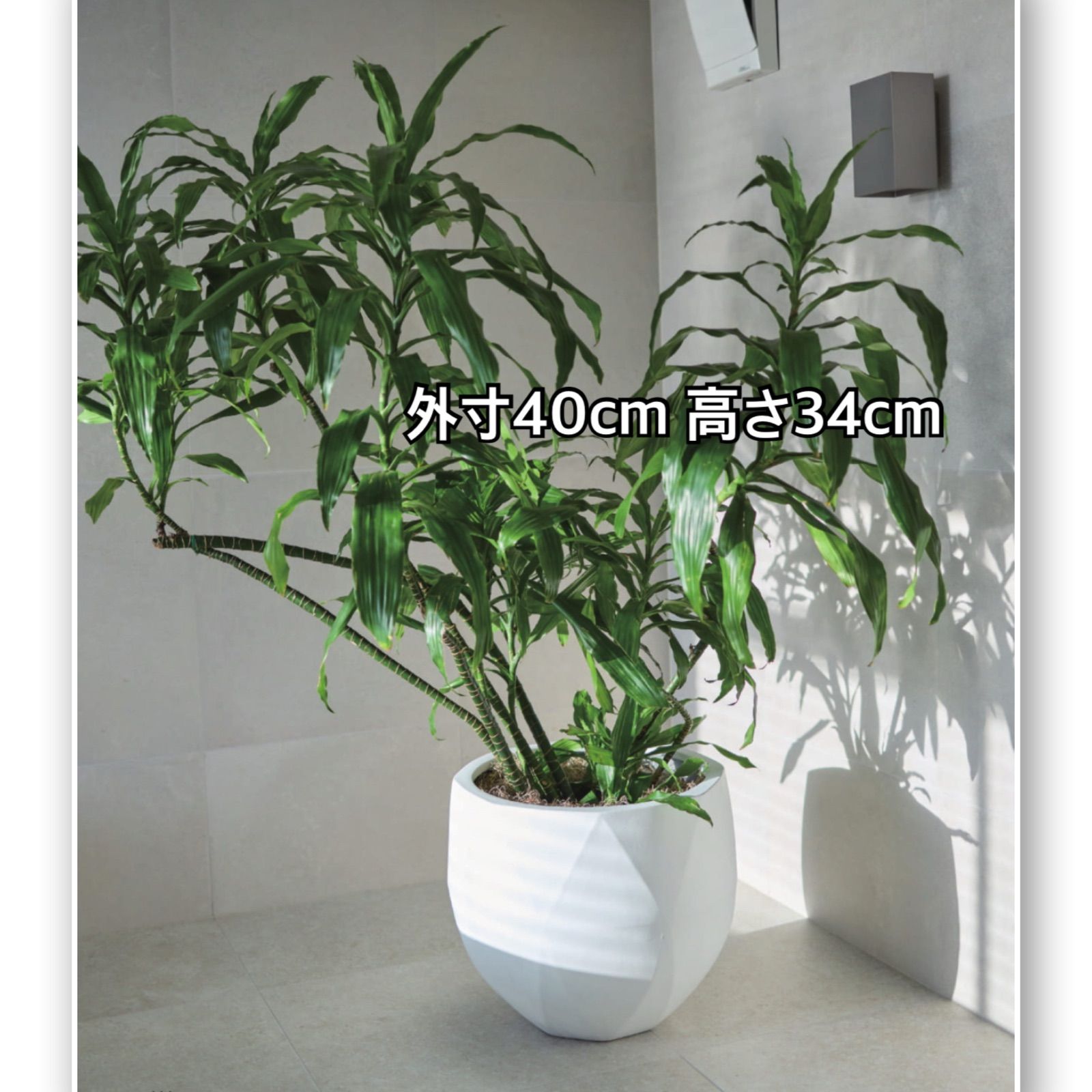 Yamatei KONTON ポリゴナルラウンド 3色から選べます 植木鉢 鉢カバー