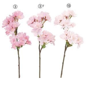 3営業日で発送 桜×15 つぼみ×10 A-33738-3 入数 24