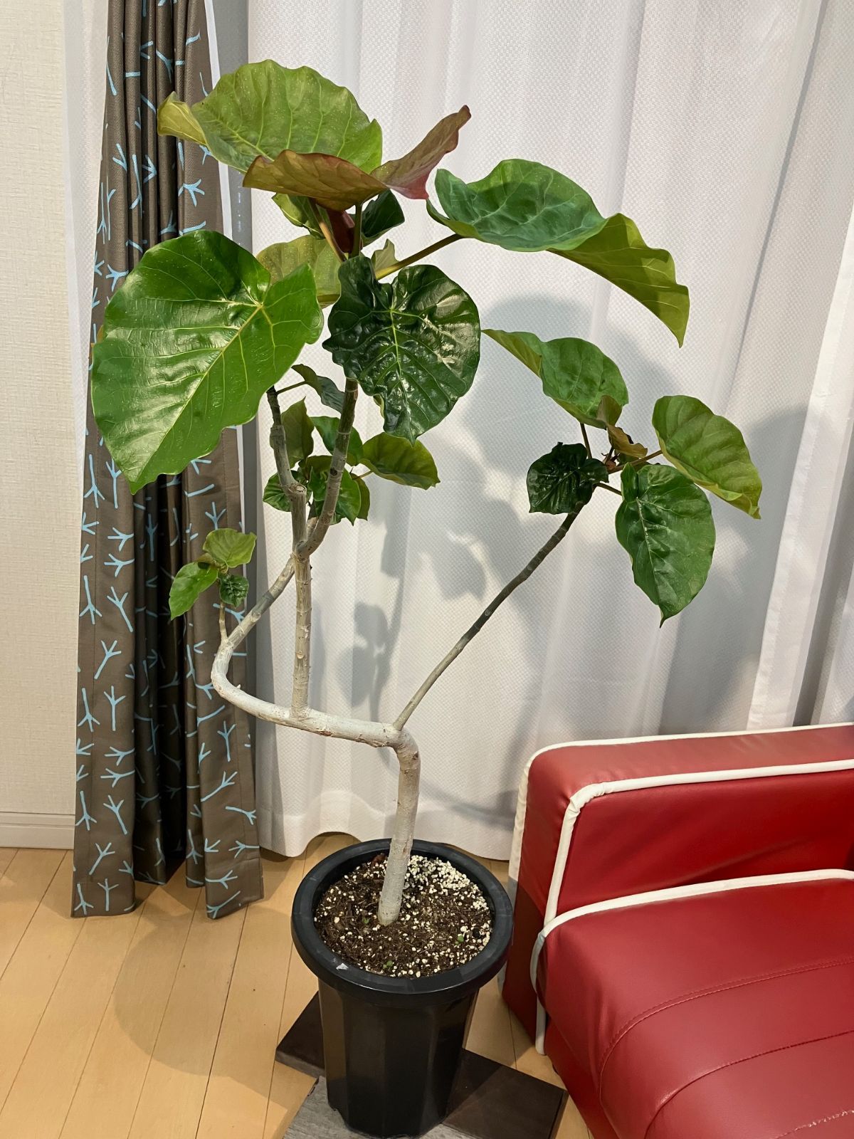 エステラ穀物貯蔵缶 鋼板製 3俵入 直径 57cm 高さ95cm 穀物