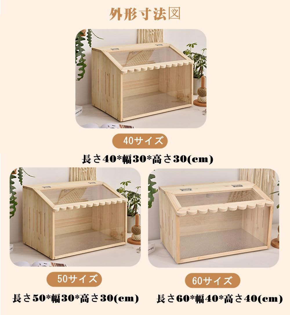 60X40X40CM トカゲ