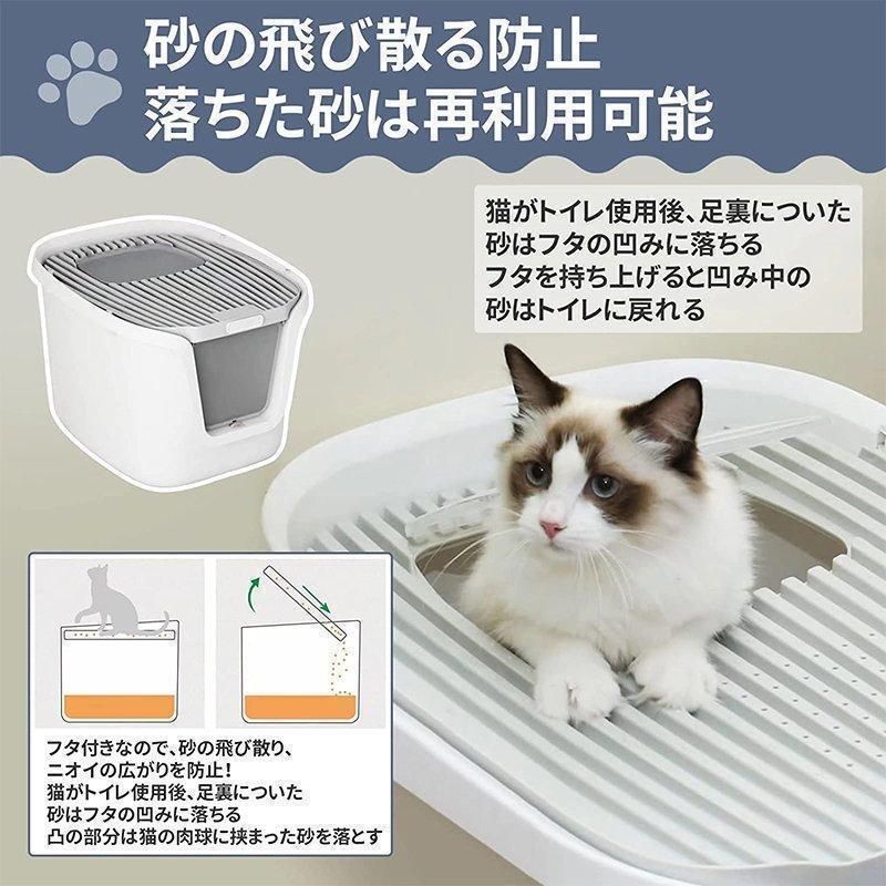 コンパクト