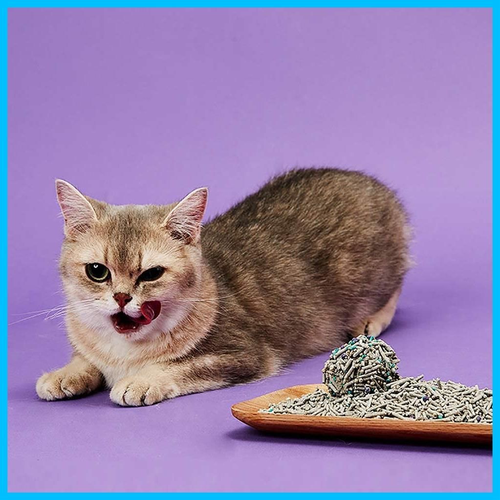 しっかり固まり すばやく吸水 混合砂 お手入れ簡単 脱臭 猫砂 7 Lx 4袋 PETKIT