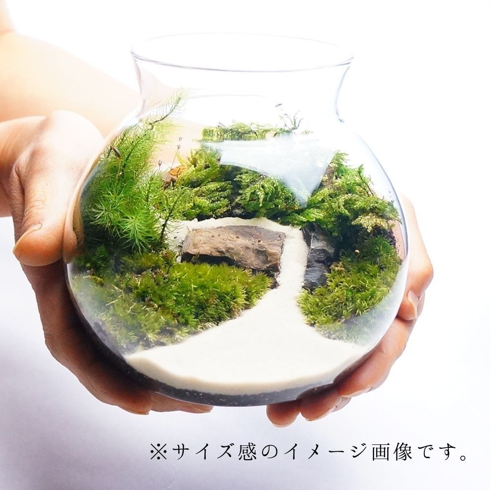苔庵介る】 苔テラリウム 完成品 13cm LEDライト蓋付ボトル